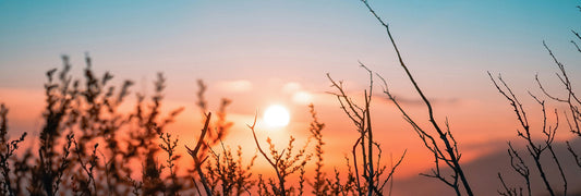 🕊 Cleaning the Cling: Releasing Codependency + Cultivating Clear Connection